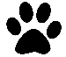 your little dog is very welcome @ Birdcage Resort
